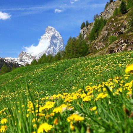 Apartment Gamma By Interhome Zermatt Exterior foto