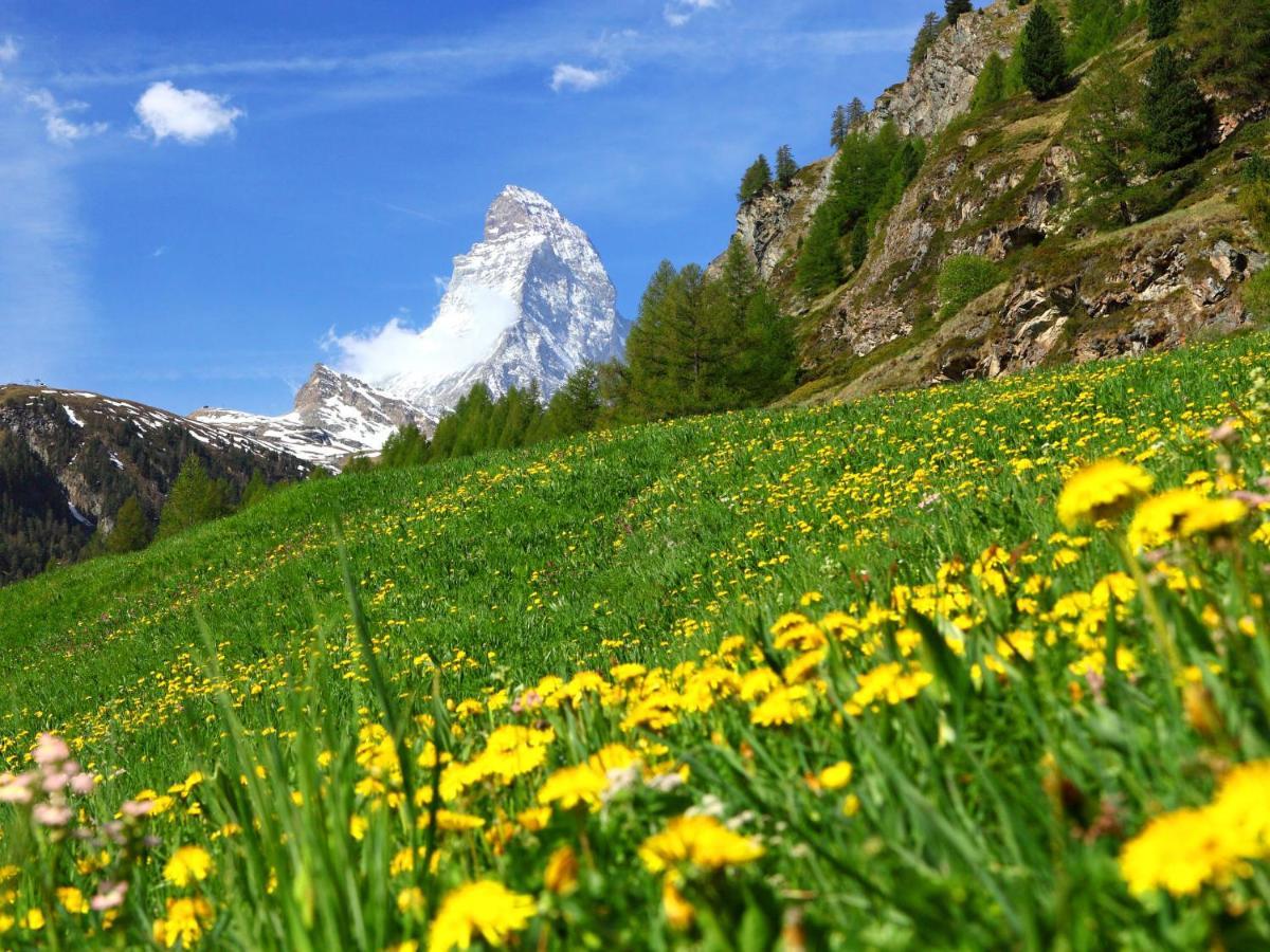 Apartment Gamma By Interhome Zermatt Exterior foto